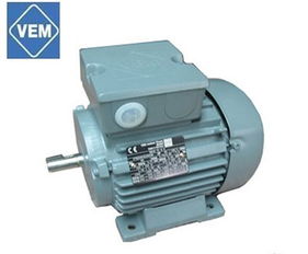 德國VEM 電機 