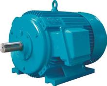 美國(guó)Diversitech電機(jī)