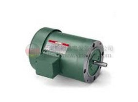 LEESON ELECTRIC交流電機