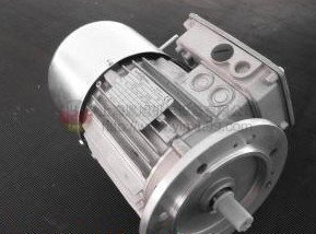 NERI MOTORI 變頻電機